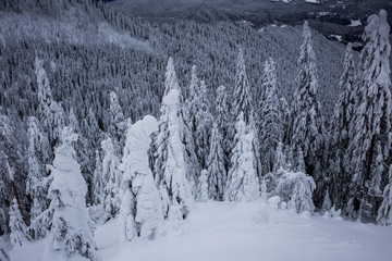 Beautiful mountain panorama in winter with fog and clouds. Bucegi mountains seen from Postavaru, Romania.