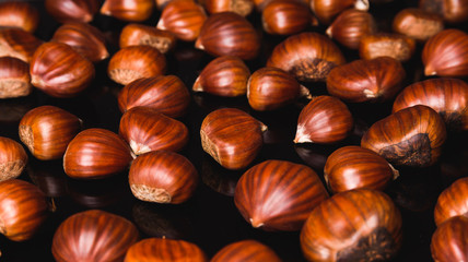 Ripe chestnuts close up. Raw Chestnuts for Christmas. Fresh sweet chestnut. Food background