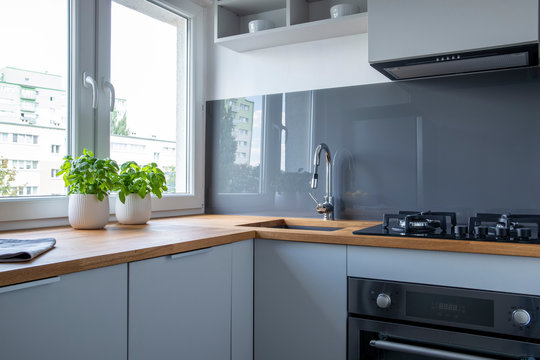 Stylish Kitchen Counter With Stove, Sink And Herbs In Pots