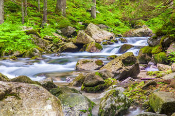 Potok Roztoka w Tatrach