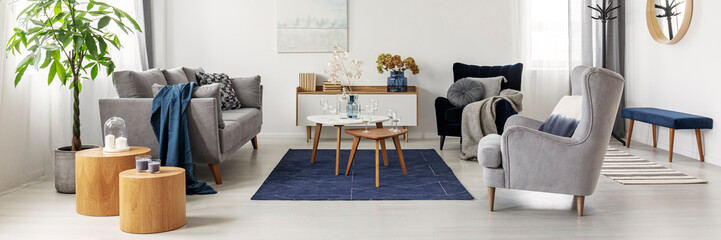 Elegant white, grey and blue living room interior with scandinavian sofa and velvet armchair