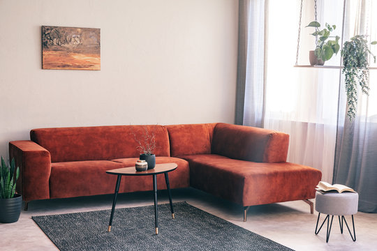 Real photo of a red, suede sofa standing in the corner of a bright living room interior with plants on a swing