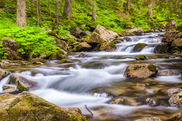 Potok Roztoka w Tatrach