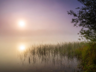 Sunrise over a misty lake. Summer landscape. Wild nature