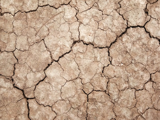 The ground has cracks in the top view for the background