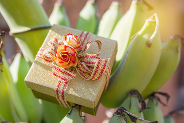 Gift box with paper rose on green banana with vintage warm light, Christmas and New year gift concept, outdoor day light