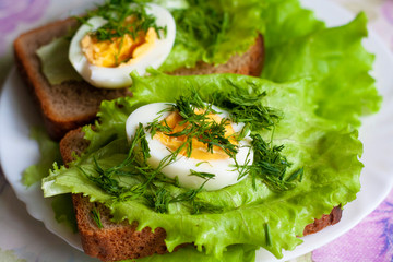 Black bread sandwiches with greens and egg on a white plate