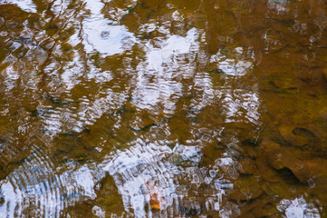 2019_october_brazil_trip