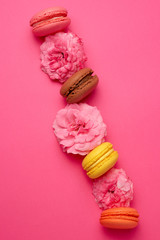 sweet multi-colored macarons with cream and a pink rose bud on a pink background