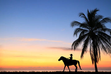 silhouette Cowboy riding a horse on sunrise © rathchapon