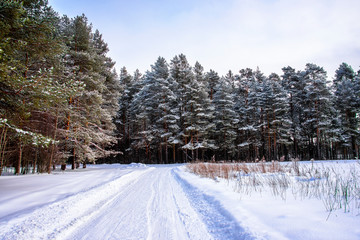 The winter snow road in the forest