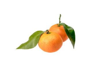two orange on white background isolated