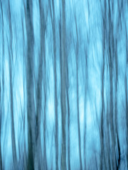 Beautiful blurred natural background - trunks of trees in fog with motion blur, blue toning