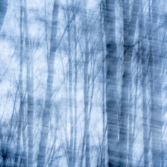Beautiful blurred natural background - trunks of trees in fog with motion blur, blue toning