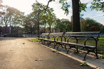 Row of Empty Wooden Benches at Astoria Park in Queens New York