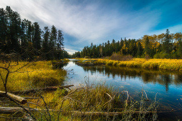 A peaceful section of river above the falls at Rushing River located near the town of Kenora in...