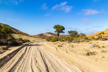 Sand track leads through the desert, Namib Naukluft Park, Namibia, Africa