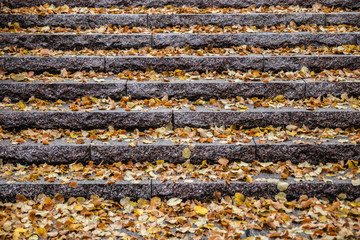 Yellow leaves on granite stairs - autumn landscape with selective focus and blur