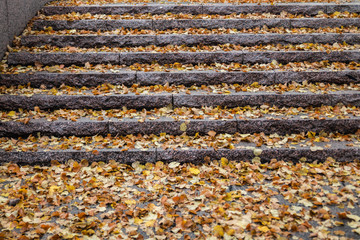 Yellow leaves on granite stairs - autumn landscape with selective focus and blur