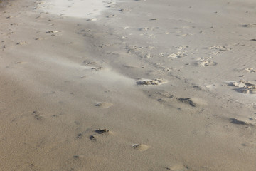 Sandy beach	