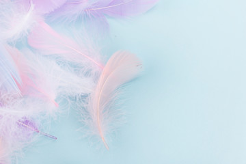 Soft fluffy feathers