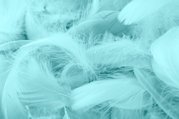 Green turquoise vintage color trends chicken feather texture background