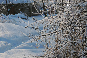 snowy winter. snow. frost