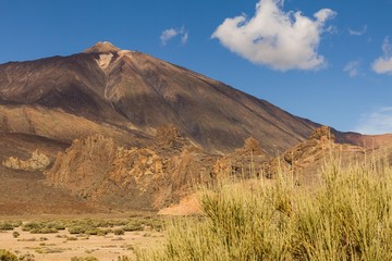 landscape view of vulcano Teide on on island Tenerife with brush in front