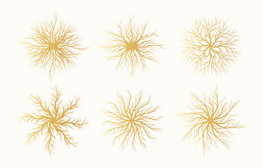 Golden tree root frame set. Christmas wood snowflakes. Vector isolated timber background. Gold natural border.