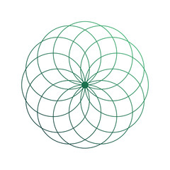 Flower of life scientific tattoo sketch with mystic interlocking circles ancient symbol.