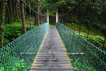 The green bridge in forest Alishan at taiwan