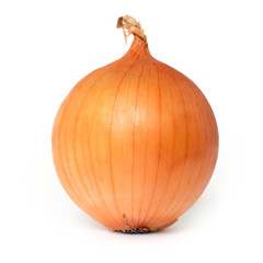 Bulb onion isolate on a white background