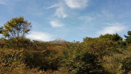 Obraz premium 木々の奥に見える山