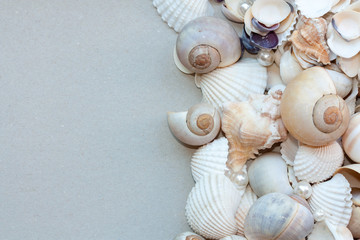 Seashells and pearls as background.