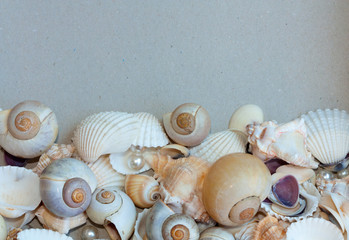 Seashells and pearls as background.