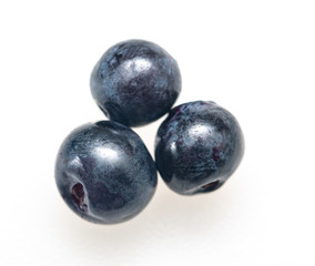 fresh blueberries on white background