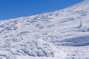 Obraz premium 熊野岳の登山道