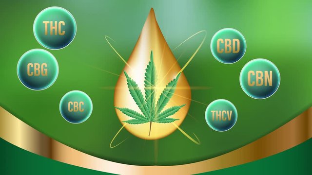 CBD,THC,CBC,CBN,CBG,THCV Natural Cannabinoids in Cannabis.video animation on  green background