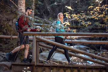 Two travel hikers with backpack walking on the wood bridge while looking the landscape in the forest.