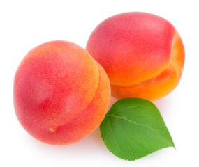 Fresh apricot on white background
