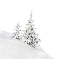 Fir trees covered snow on white background with space for text