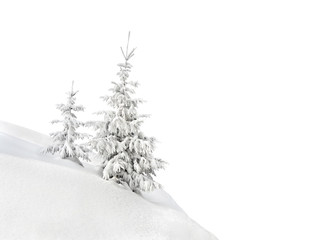 Fototapeta premium Fir trees covered snow on white background with space for text