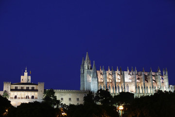 The famous balearic islands landmark - gothic Cathedral of Santa Maria of Palma de Mallorca beautifully lit at night / La Seu, Spain. Copy space for message. 