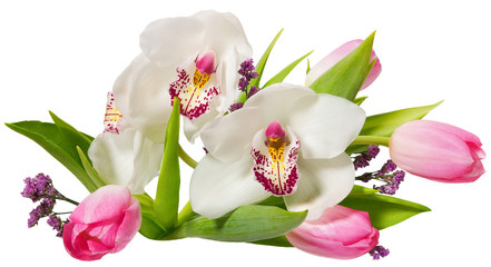 romantic bouquet with white orchids with tulips, isolated background