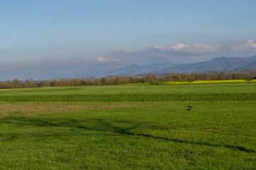 landscape with green field and blue sky