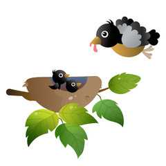 Color image of cartoon bird nest with nestlings or chicks on white background. Vector illustration for kids.