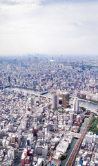 Obraz premium 高所から見渡す東京の風景