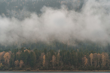 Autumn in the Altai Mountains, forest in the clouds