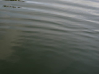 ripples on water