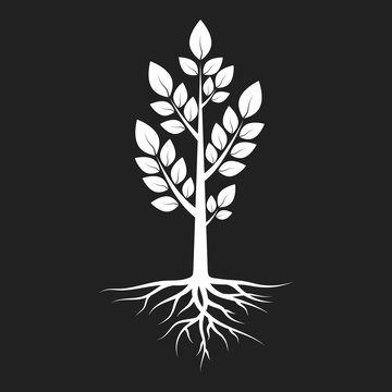 Garden tree with roots and leaves silhouette. Vector isolated Illustration.